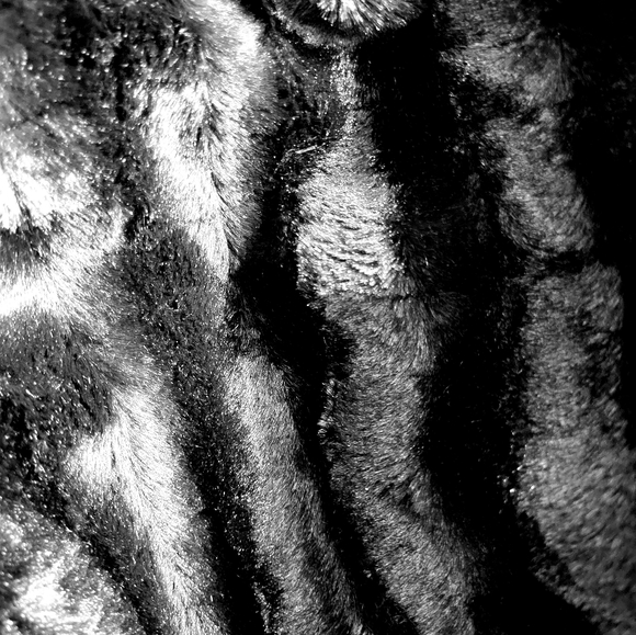 Cropped Faux Fur Jacket - Picture 4 of 8